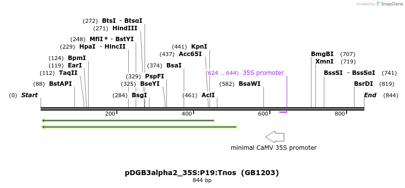 129208_map