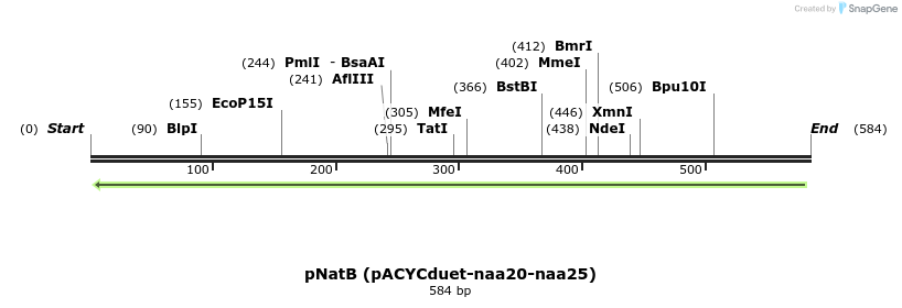 129211_map
