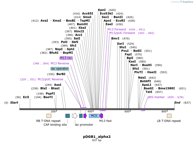 129212_map