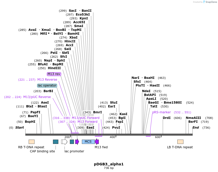 129214_map
