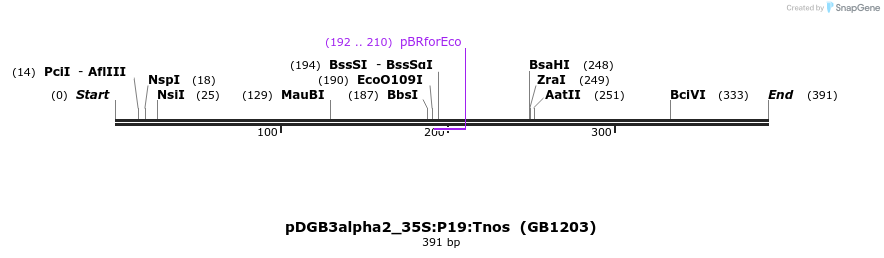 129216_map