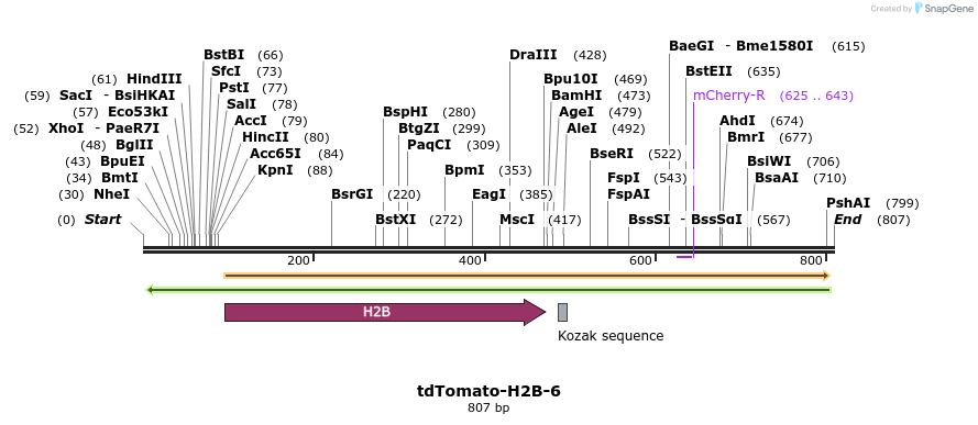 129222_map