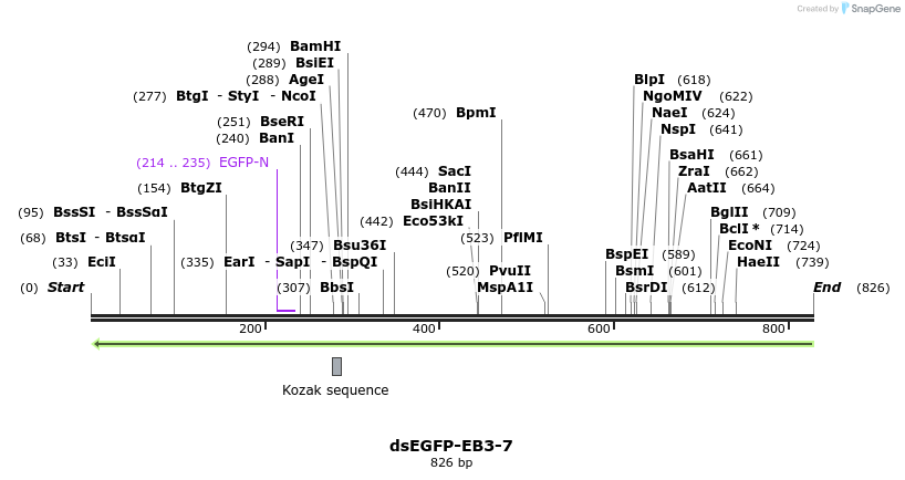 129230_map