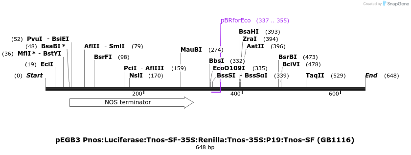129231_map