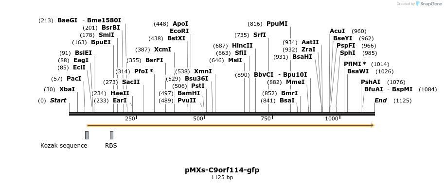 129234_map