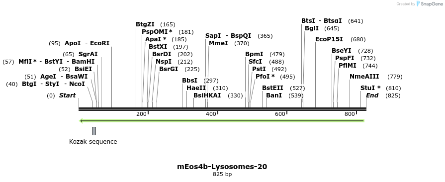 129236_map