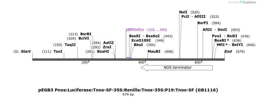 129237_map