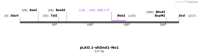 129239_map