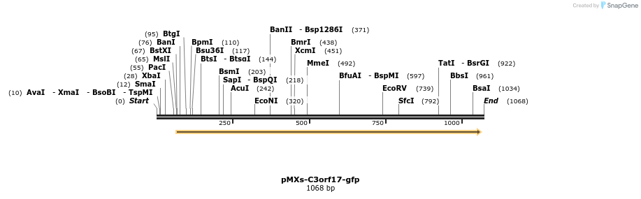 129241_map