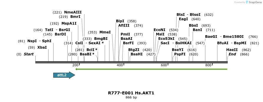 129247_map
