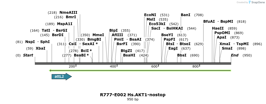 129248_map