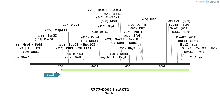 129251_map