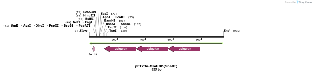 129253_map