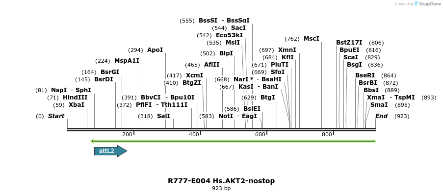 129255_map