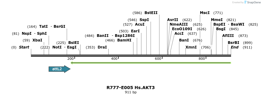 129256_map
