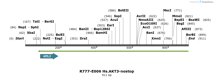 129257_map