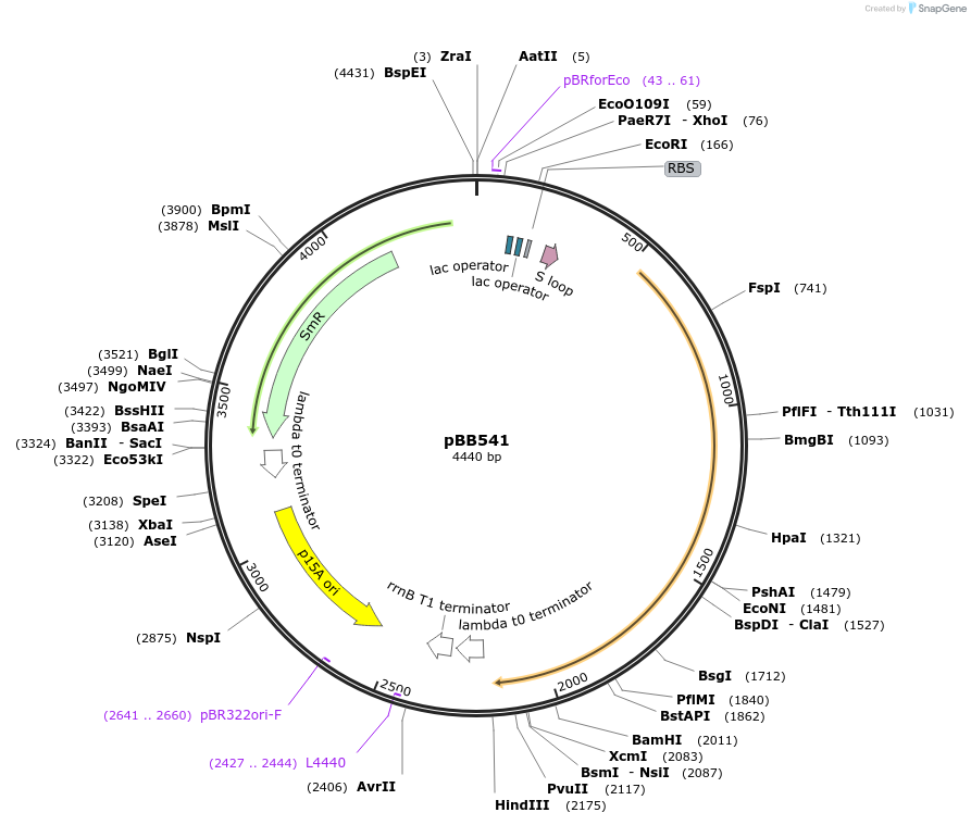 12926_map