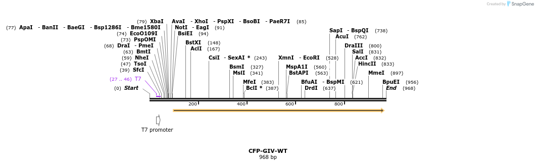 129261_map