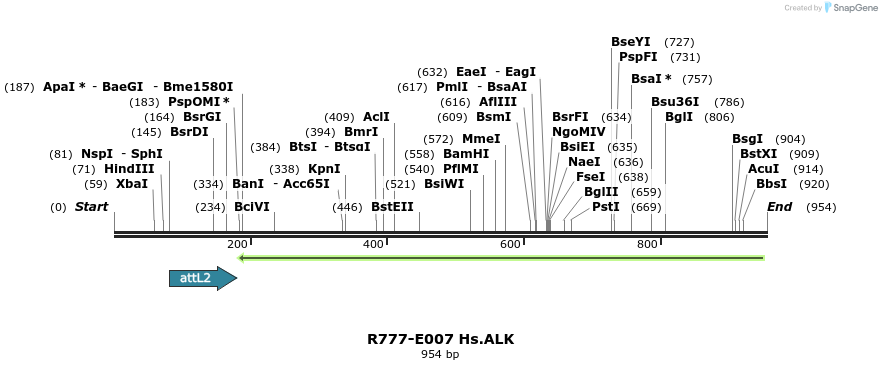 129264_map