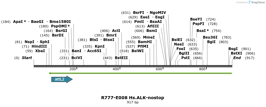 129265_map