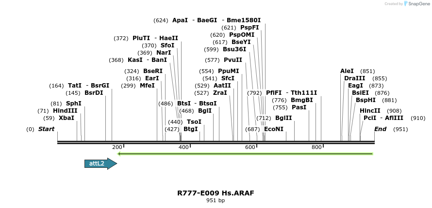 129266_map