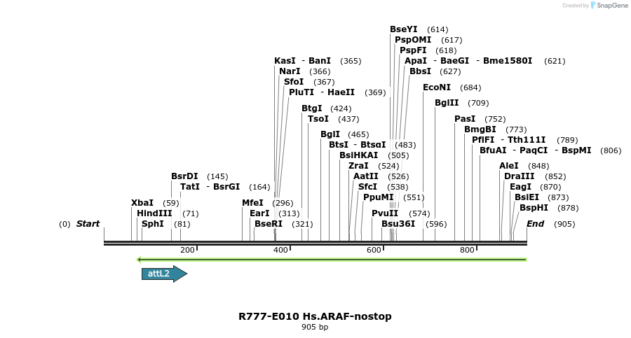129268_map
