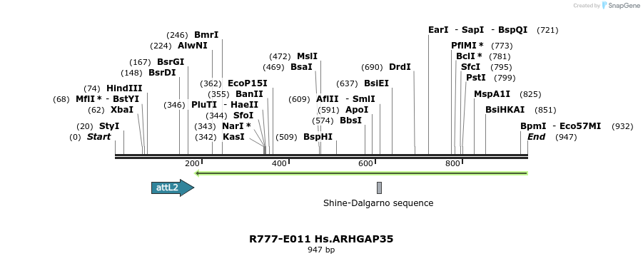 129269_map