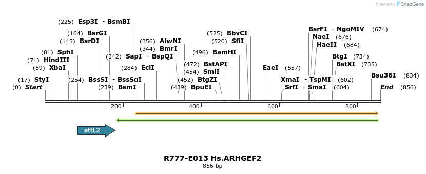 129271_map