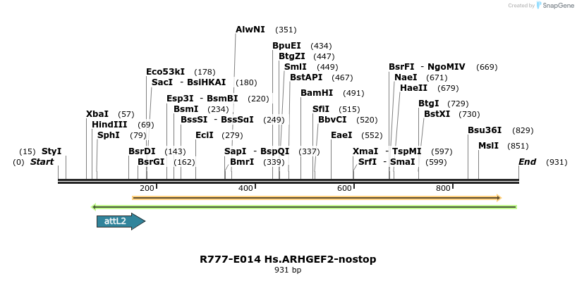 129272_map
