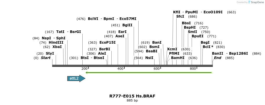129273_map