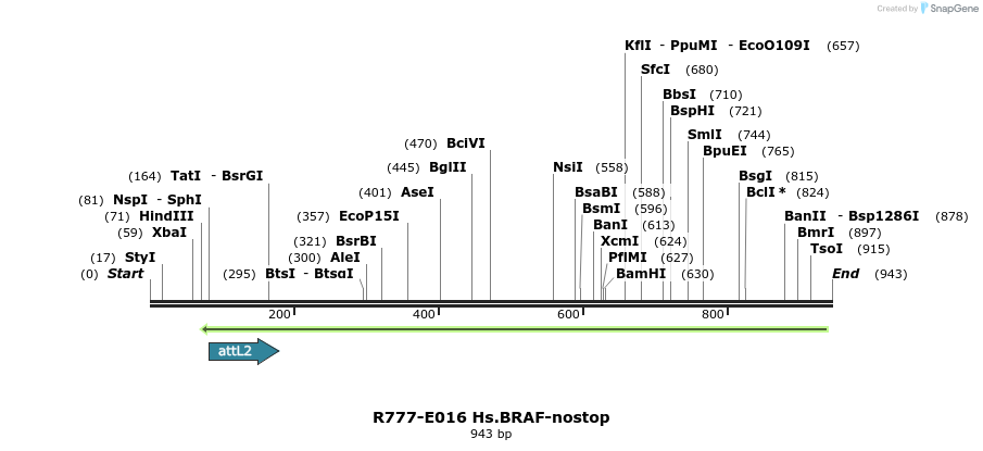 129274_map