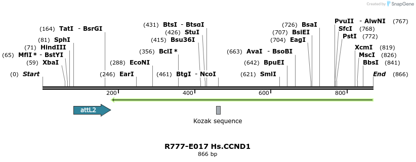 129276_map