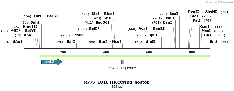 129278_map