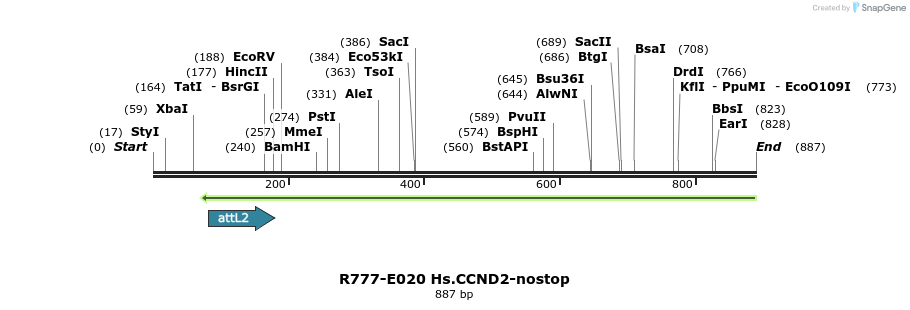 129283_map