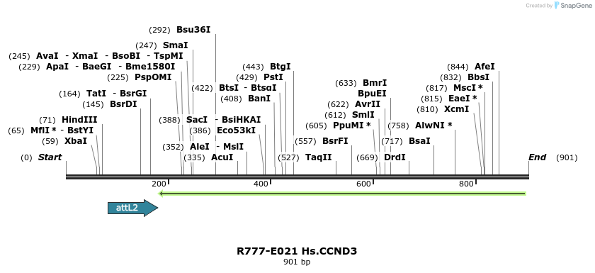 129285_map