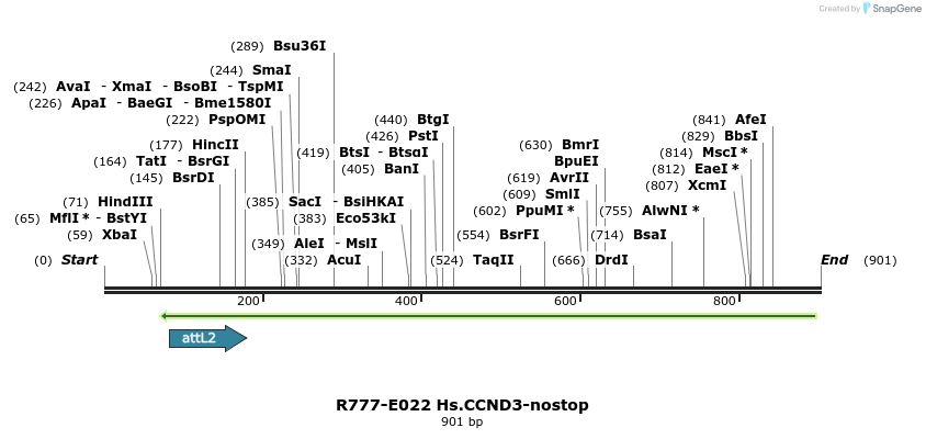 129286_map