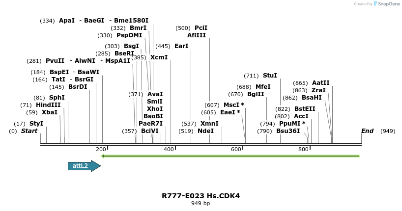 129287_map