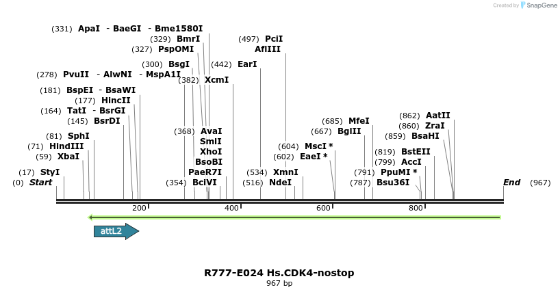129289_map