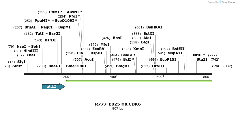 129292_map