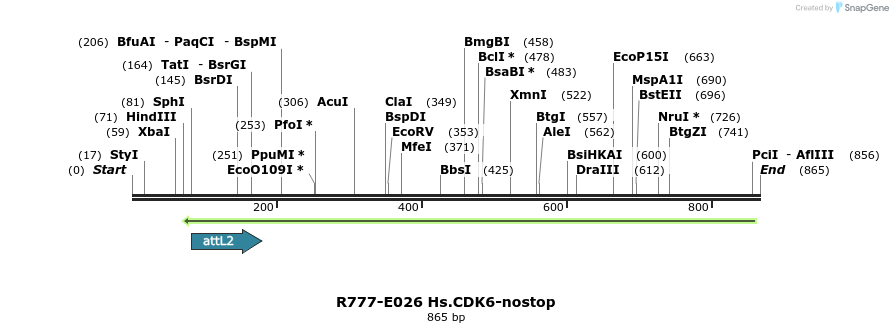 129294_map