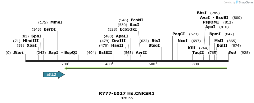129295_map