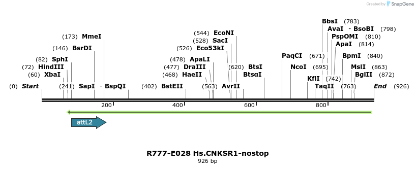 129296_map