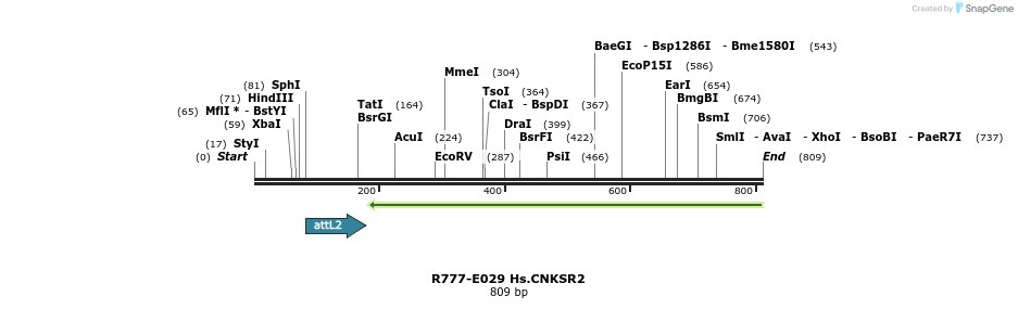 129298_map