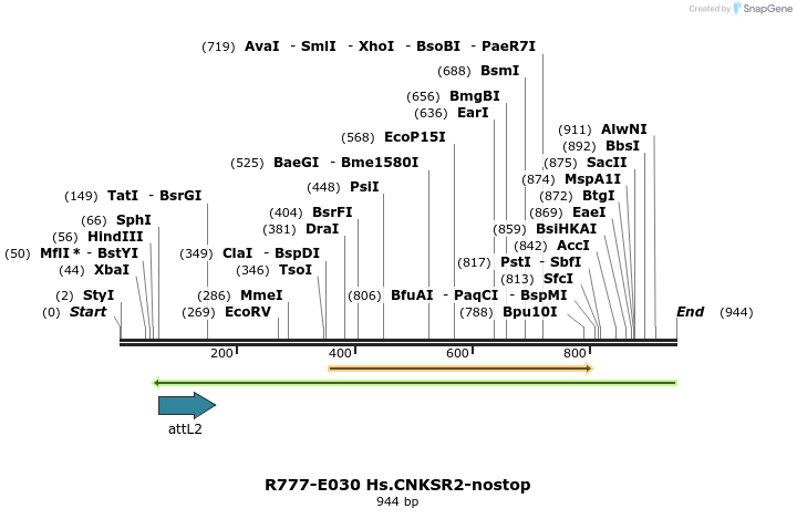 129301_map