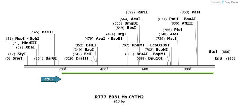 129302_map