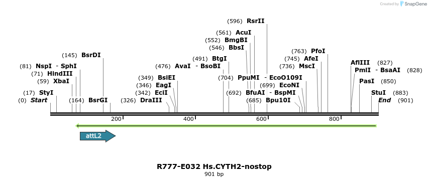 129304_map