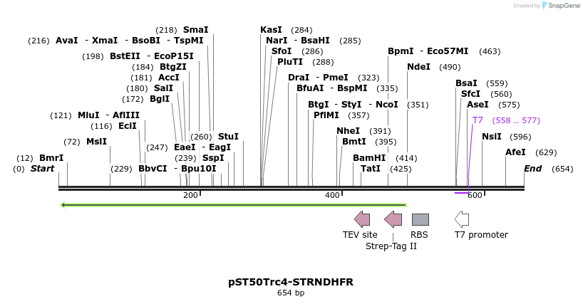 129305_map
