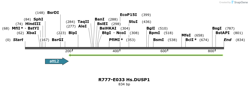 129307_map