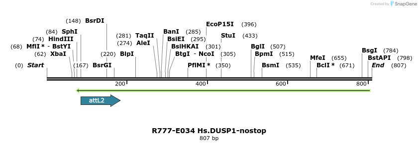 129308_map
