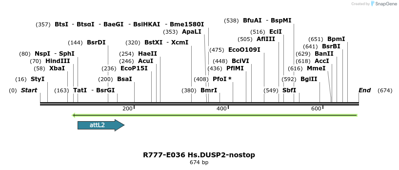 129312_map